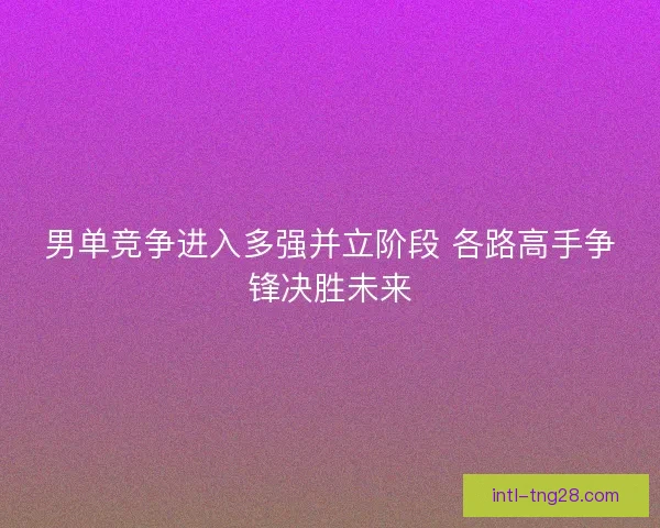 男单竞争进入多强并立阶段 各路高手争锋决胜未来