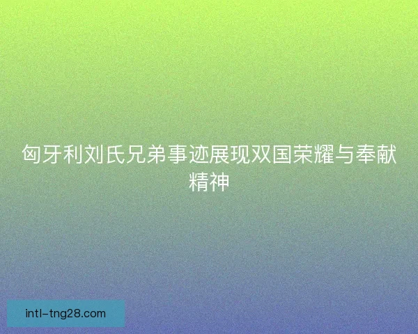 匈牙利刘氏兄弟事迹展现双国荣耀与奉献精神